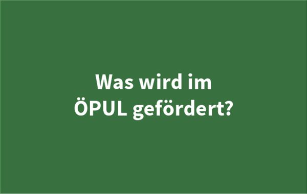 Schriftbild - Was wird im ÖPUL gefördert?