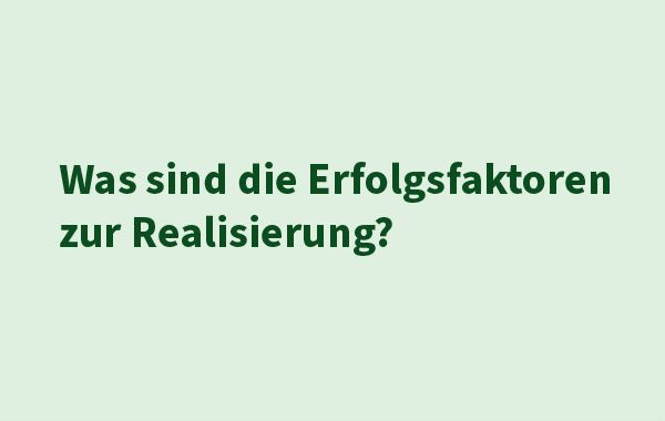 Leeres Bild mit dem Text: "Was sind die Erfolgsfaktoren zur Realisierung?"