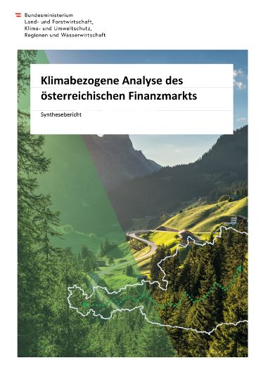Finanzmarktanalyse Synthesebericht 2025