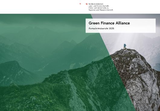 Green Finance Alliance - Fortschrittsbericht 2025