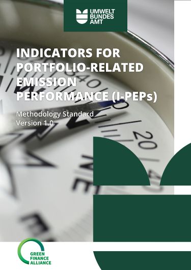 I-PEPs Methodology Standard