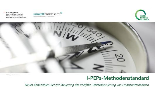 Cover I-PEPs-Methodenstandard Präsentation