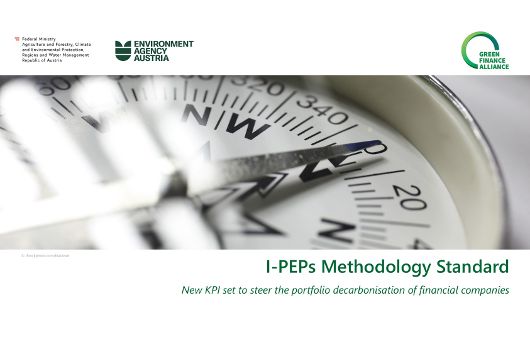 Cover I-PEPs Methodology Standard Presentation
