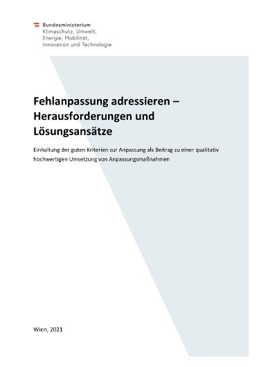 Fehlanpassung adressieren – Herausforderungen und  Lösungsansätze