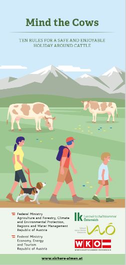 Mind the Cows