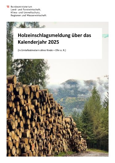 Holzeinschlagsmeldung über das Kalenderjahr 2025