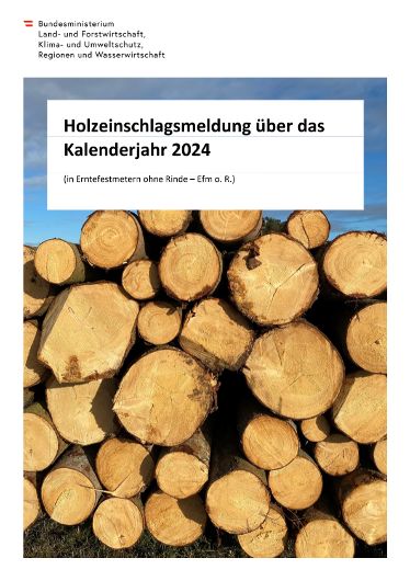Holzeinschlagsmeldung über das  Kalenderjahr 2024