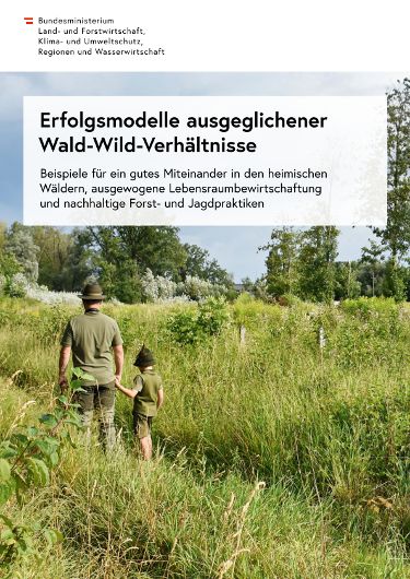 Erfolgsmodelle ausgeglichener Wald-Wild-Verhältnisse