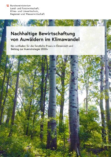 Nachhaltige Bewirtschaftung von Auwäldern im Klimawandel