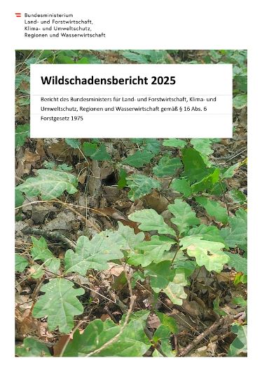 Wildschadensbericht 2025