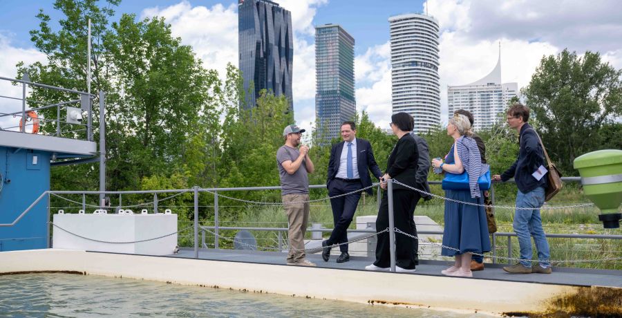 <p>LIFE-Boat4Sturgeon ist die erste Nachzucht von Sternhausen im Projekt gelungen.&amp;nbsp;Anl&auml;sslich des Danube Days pr&auml;sentierten Vertreterinnen und Vertreter aus Politik, Wissenschaft und Wasserinfrastruktur diesen bedeutenden Meilenstein den Medien.</p>