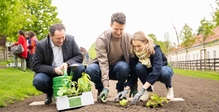 <p>Jedes Jahr werden 120 Beete beim Wiener Augarten an Wienerinnen und Wiener verlost. Am 15. April 2026 erfolgte die Beet&uuml;bergabe an die Gewinnerinnen und Gewinner. Herr Bundesminister Norbert Totschnig nahm bei der &Uuml;bergabe teil.</p>