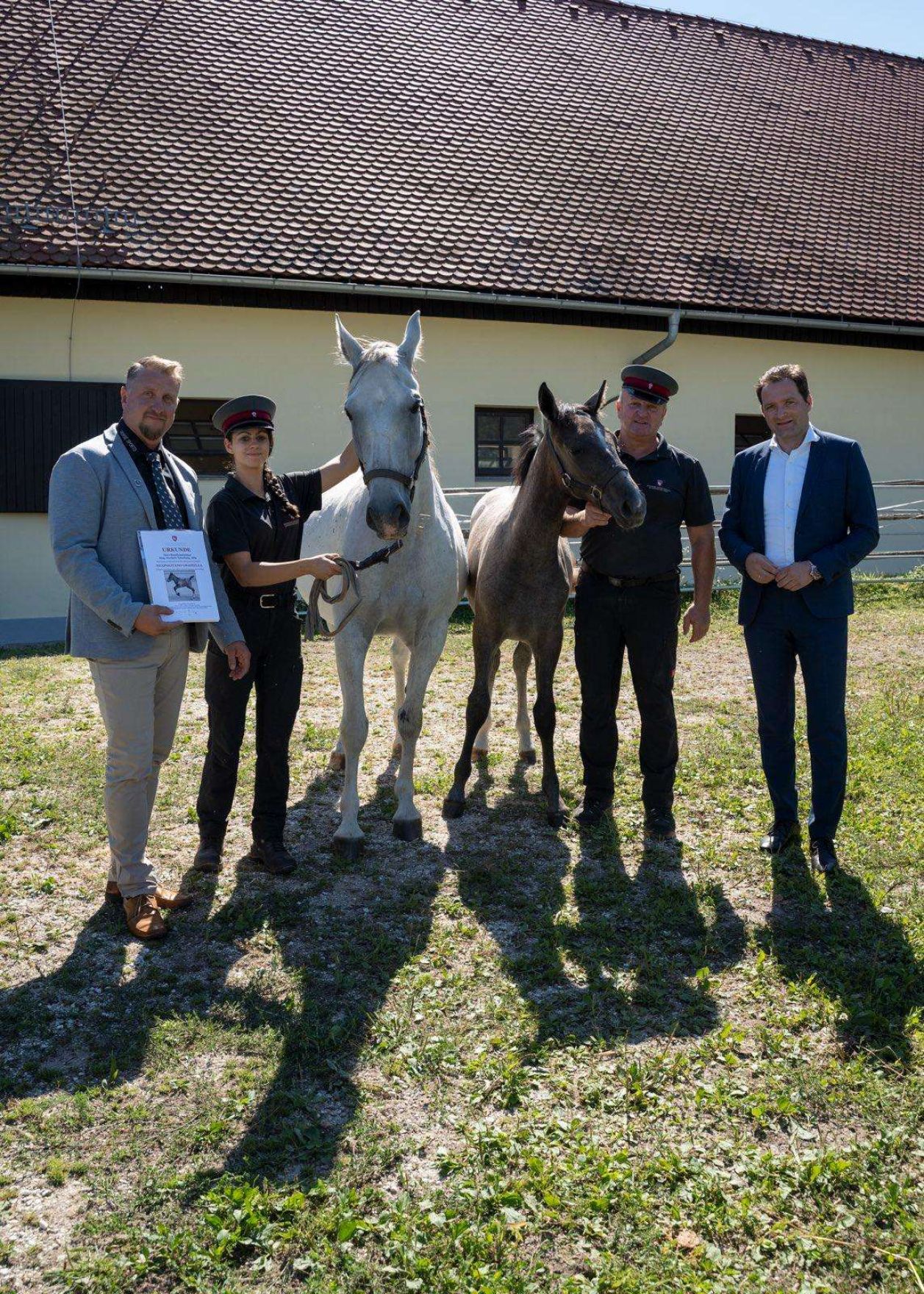 Das Lipizzanergest&uuml;t Piber ist ein Vorzeigebeispiel f&uuml;r innovative Kreislaufwirtschaft. Landwirtschaftsminister Norbert Totschnig machte sich pers&ouml;nlich ein Bild von der Bewirtschaftung und &uuml;bernahm die Ehrenpatenschaft f&uuml;r das erste Fohlen des Jahres 2022.