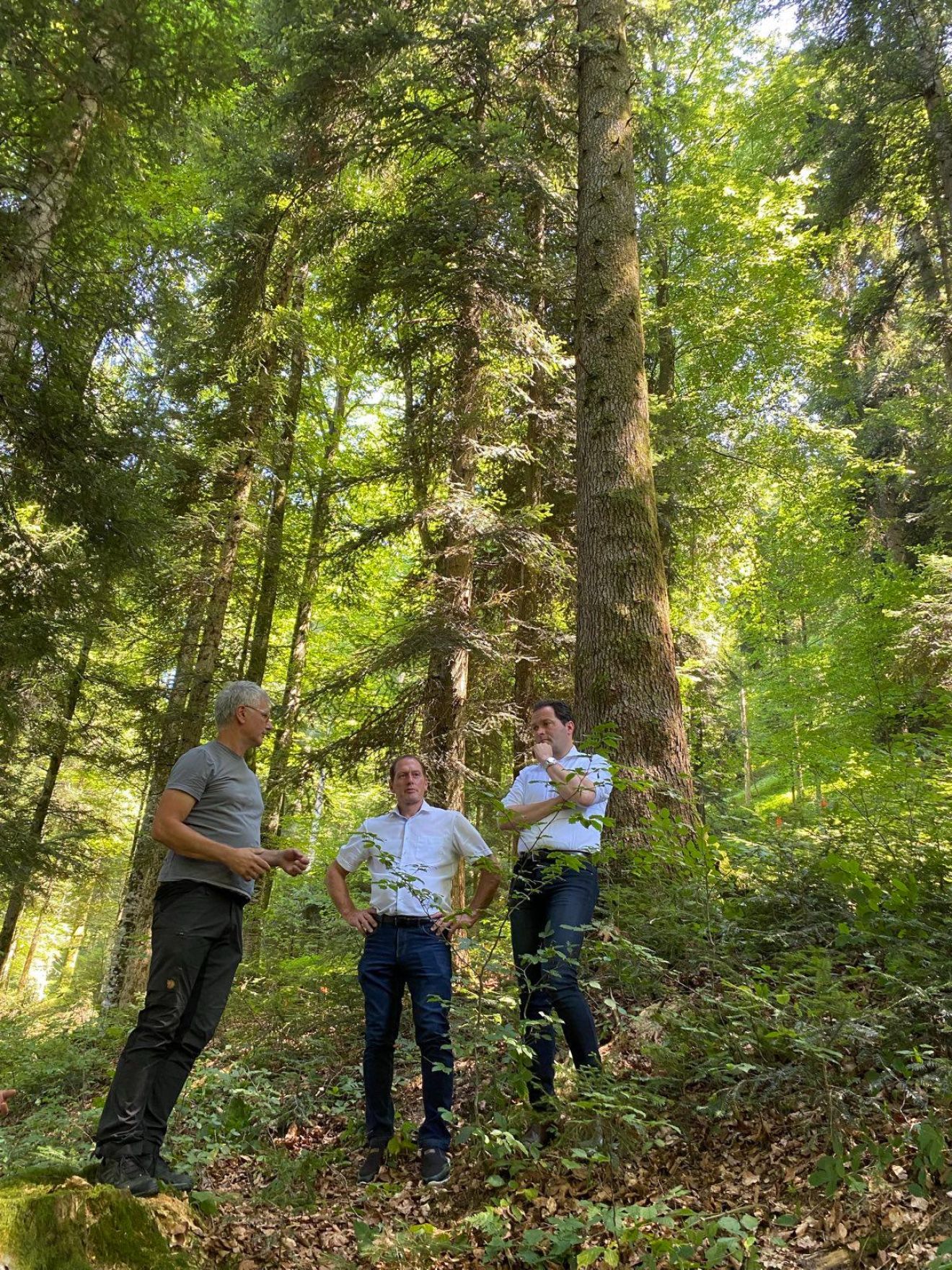 signal-2022-07-25-103557_001.jpeg Gemeinsam mit LK-Präsident Josef Moosbrugger hat sich Landwirtschaftsminister Norbert Totschnig im Plenterwald am Schweizberg persönlich ein Bild von den Wirkungen des Waldfonds gemacht.