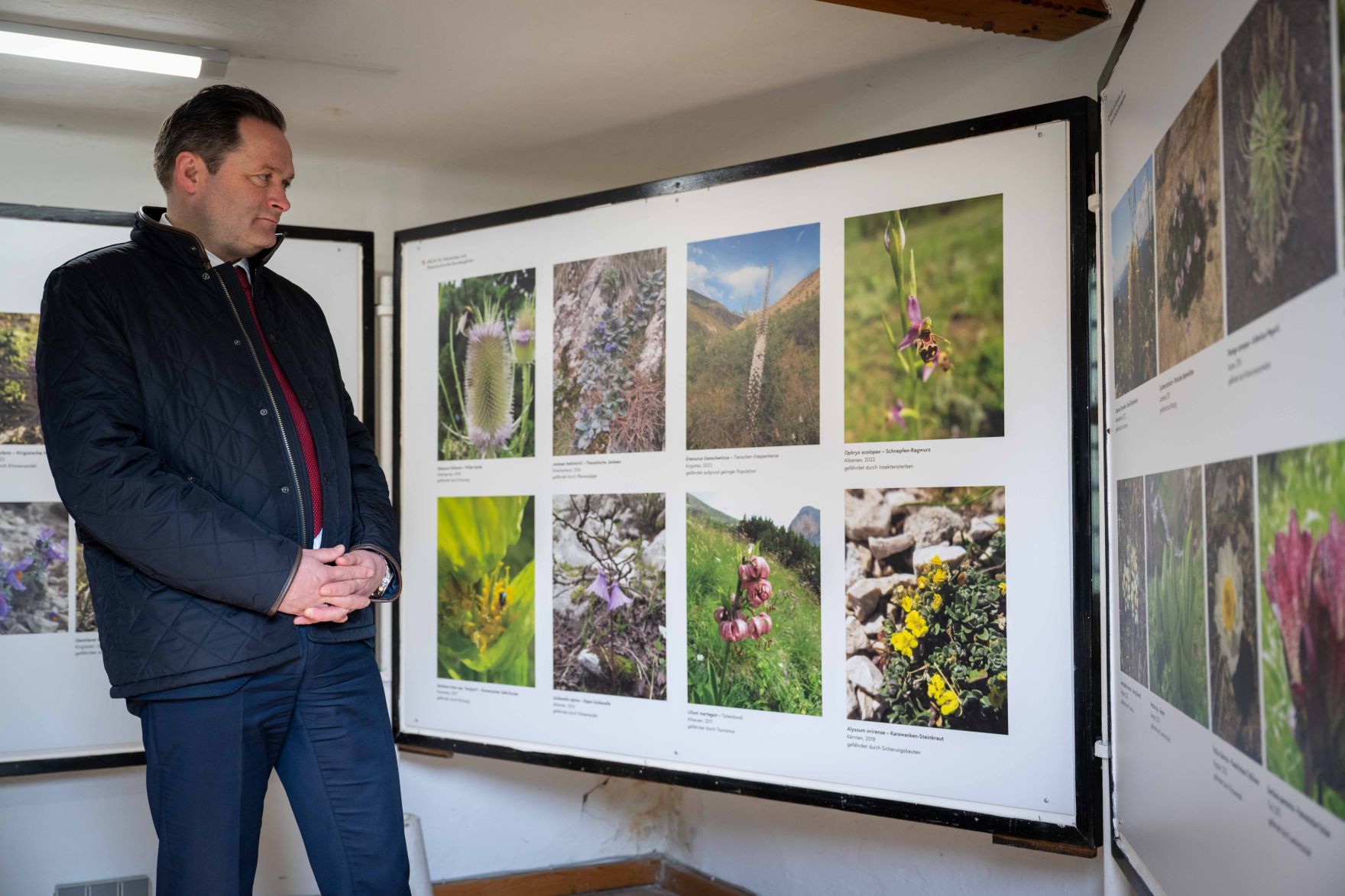 DSC_5543.jpg Herr Bundesminister Norbert Totschnig besuchte den Alpengarten bei Belvedere und machte sich selbst einen Eindruck der Ausstellung.