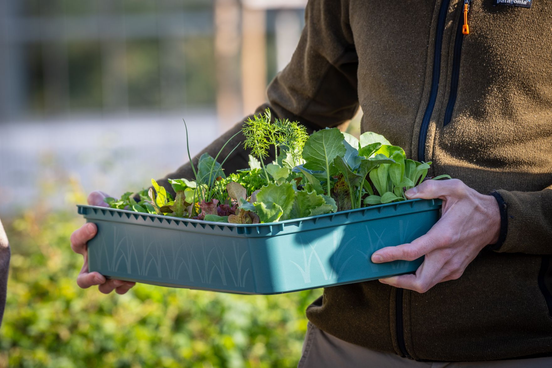 240425_FISCHLER-10.jpg Garteln mitten in Innsbruck: Bundesminister Norbert Totschnig stattete den Gewinnerinnen und Gewinnern des Urban Gardening-Gewinnspiels beim Innsbrucker Hofgarten einen Besuch ab.