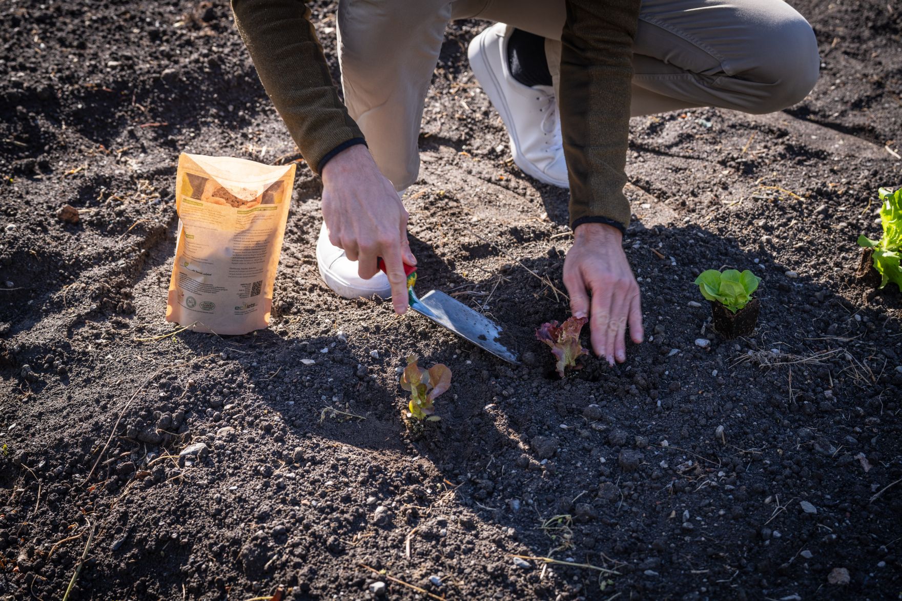 240425_FISCHLER-13.jpg Garteln mitten in Innsbruck: Bundesminister Norbert Totschnig stattete den Gewinnerinnen und Gewinnern des Urban Gardening-Gewinnspiels beim Innsbrucker Hofgarten einen Besuch ab.