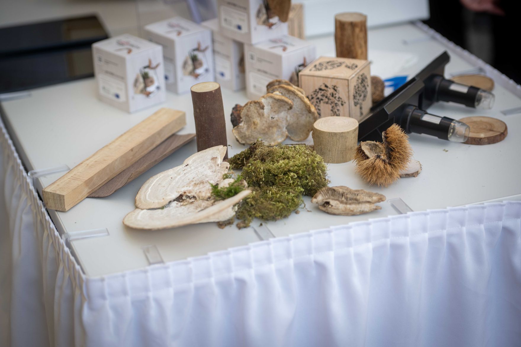 Der woodCircle &bdquo;Gemeinsam die Zukunft der &Ouml;sterreichischen Holzinitiative gestalten und Erfolge feiern&ldquo; fand am 21. Oktober 2024 im Schloss Sch&ouml;nbrunn statt.