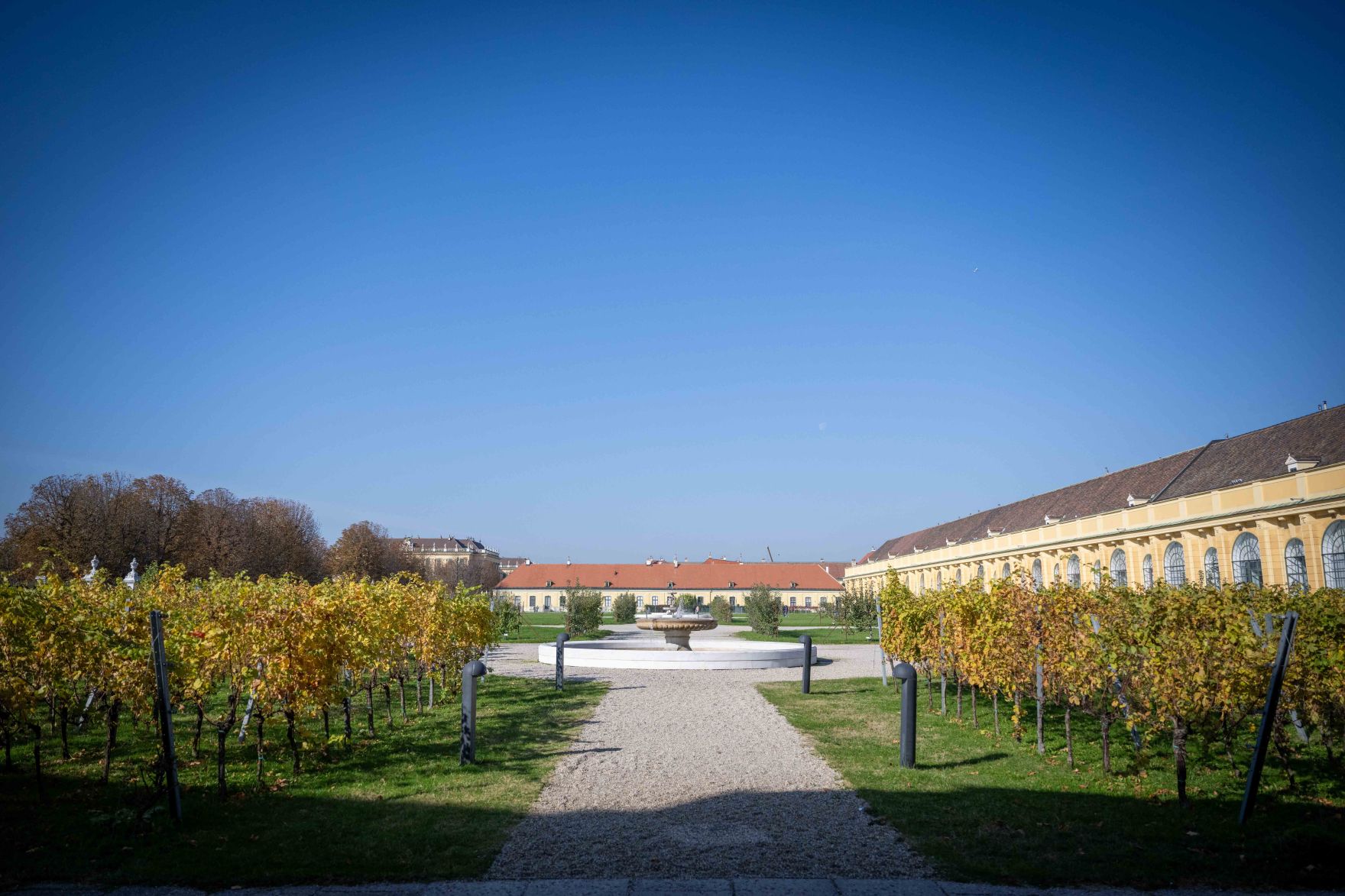 Der woodCircle &bdquo;Gemeinsam die Zukunft der &Ouml;sterreichischen Holzinitiative gestalten und Erfolge feiern&ldquo; fand am 21. Oktober 2024 im Schloss Sch&ouml;nbrunn statt.