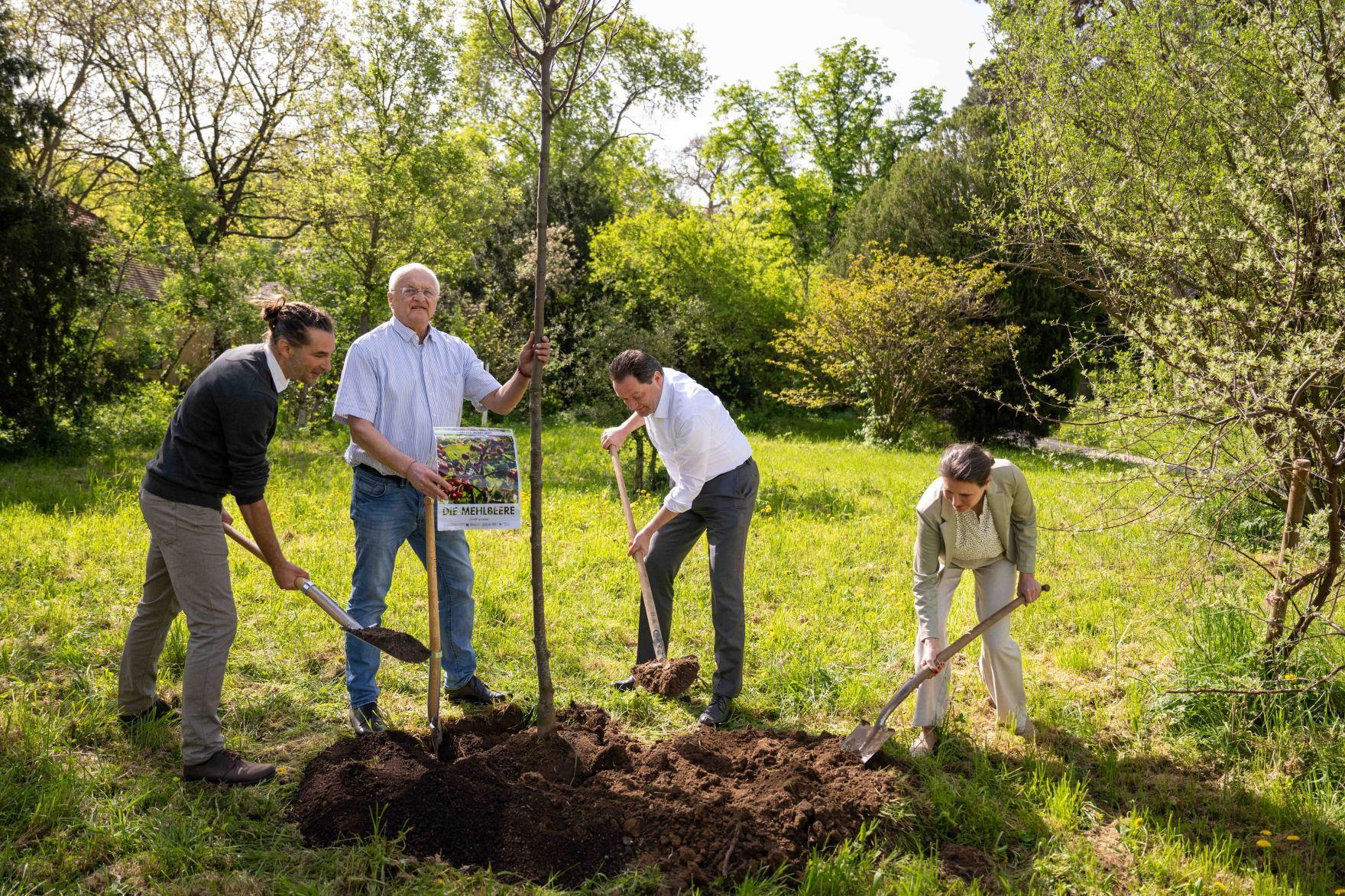 DSC_1834.jpg Die Mehlbeere wurde zum Baum des Jahres 2025 gekrönt. Aus diesem Anlass pflanzte Herr Bundesminister Norbert Totschnig eine Mehrbeere im Schlossgarten Schönbrunn.