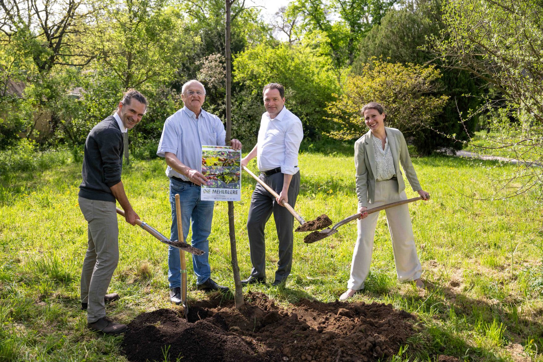 DSC_1869.jpg Die Mehlbeere wurde zum Baum des Jahres 2025 gekrönt. Aus diesem Anlass pflanzte Herr Bundesminister Norbert Totschnig eine Mehrbeere im Schlossgarten Schönbrunn.