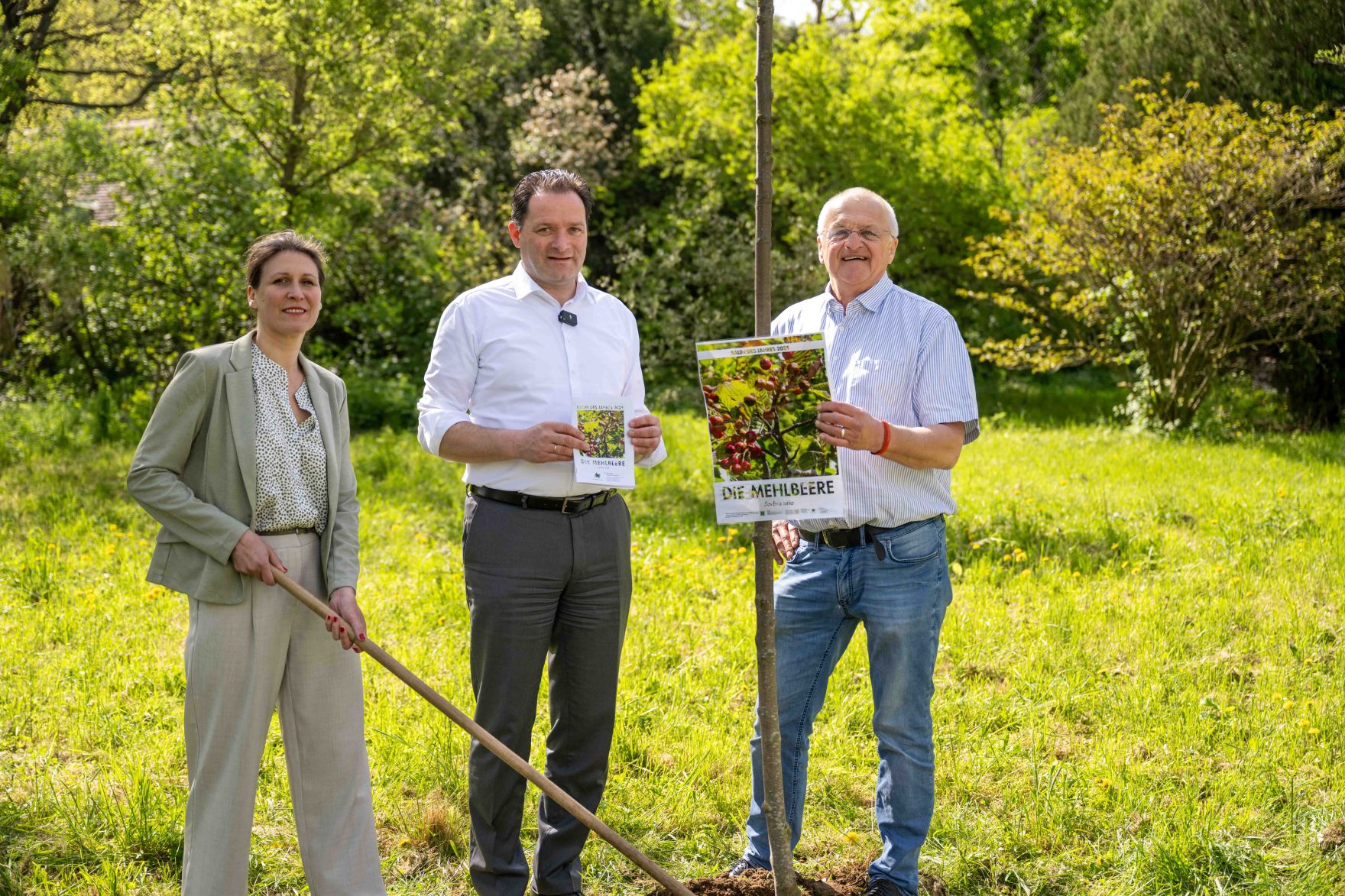 DSC_1921.jpg Die Mehlbeere wurde zum Baum des Jahres 2025 gekrönt. Aus diesem Anlass pflanzte Herr Bundesminister Norbert Totschnig eine Mehrbeere im Schlossgarten Schönbrunn.