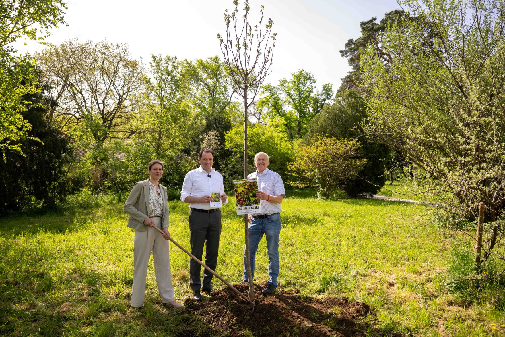 DSC_1933.jpg Die Mehlbeere wurde zum Baum des Jahres 2025 gekrönt. Aus diesem Anlass pflanzte Herr Bundesminister Norbert Totschnig eine Mehrbeere im Schlossgarten Schönbrunn.