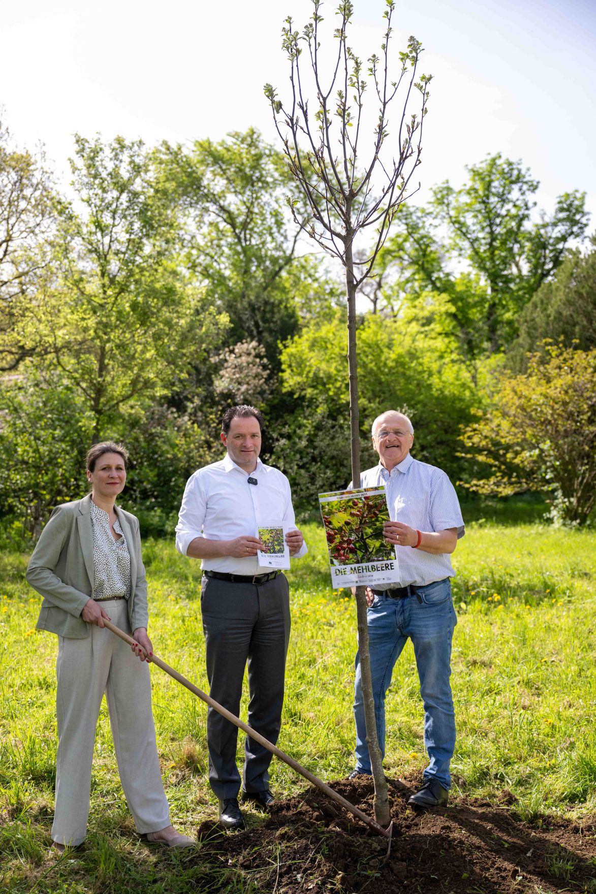 DSC_1942.jpg Die Mehlbeere wurde zum Baum des Jahres 2025 gekrönt. Aus diesem Anlass pflanzte Herr Bundesminister Norbert Totschnig eine Mehrbeere im Schlossgarten Schönbrunn.