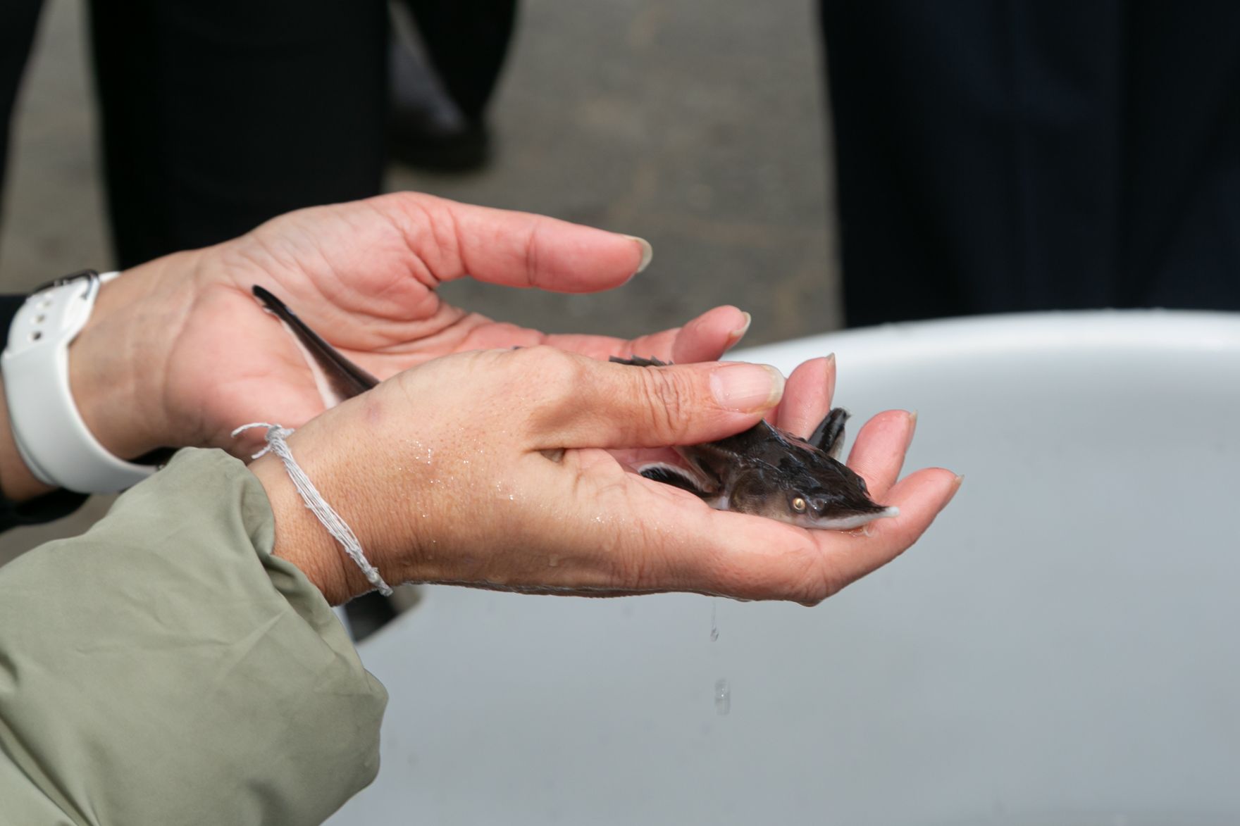 &Ouml;sterreich und Slowenien bekr&auml;ftigen ihre enge Zusammenarbeit zum Schutz und zur nachhaltigen Entwicklung der Grenzmur. Mit der Unterzeichnung der gemeinsamen Ministerdeklaration &bdquo;goMURra&ldquo; setzen beide L&auml;nder ein starkes Zeichen f&uuml;r gelebte Nachbarschaft, intakte Natur und nachhaltige Gew&auml;sserentwicklung.