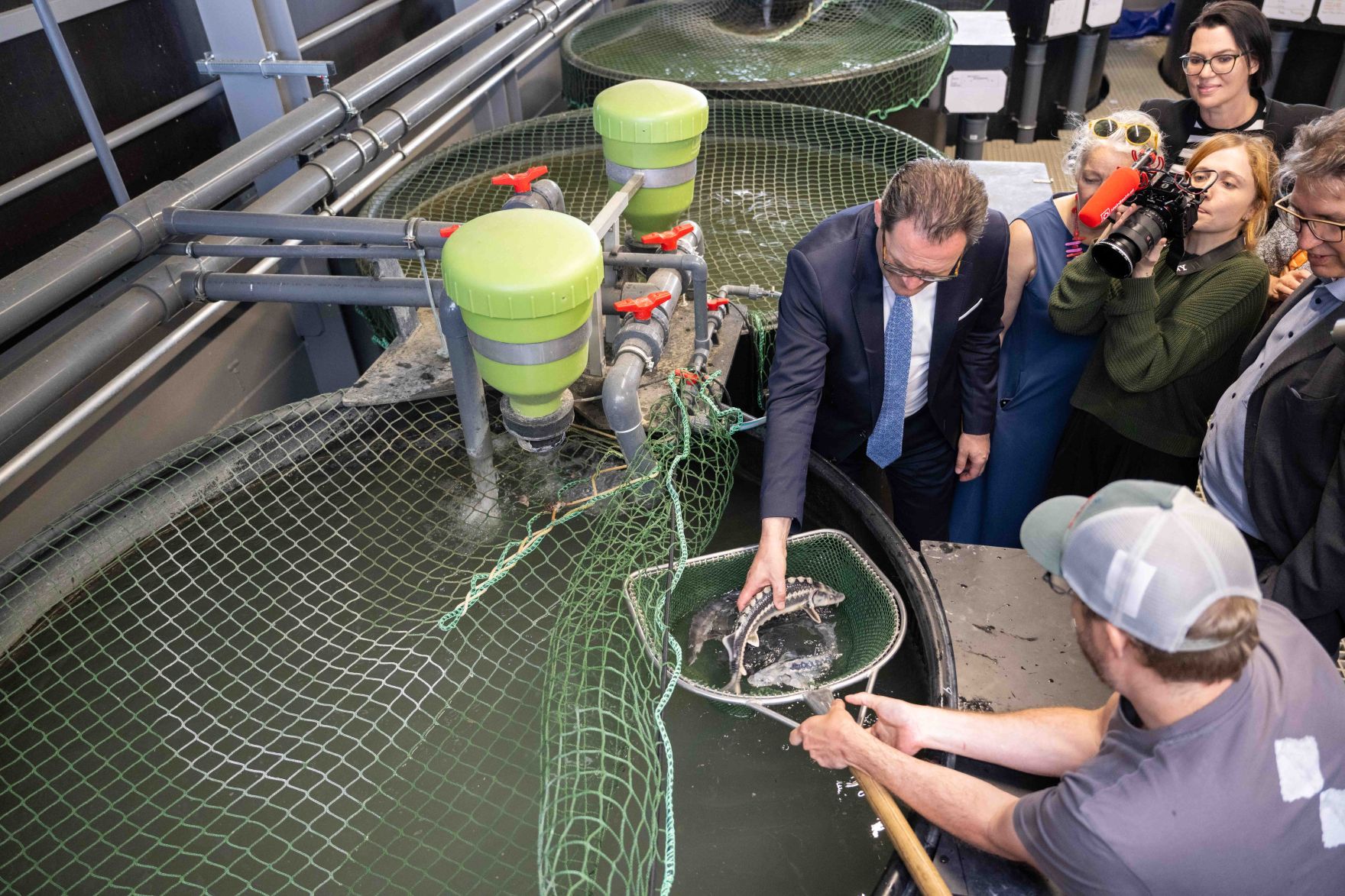 LIFE-Boat4Sturgeon ist die erste Nachzucht von Sternhausen im Projekt gelungen. Anl&auml;sslich des Danube Days pr&auml;sentierten Vertreterinnen und Vertreter aus Politik, Wissenschaft und Wasserinfrastruktur diesen bedeutenden Meilenstein den Medien.