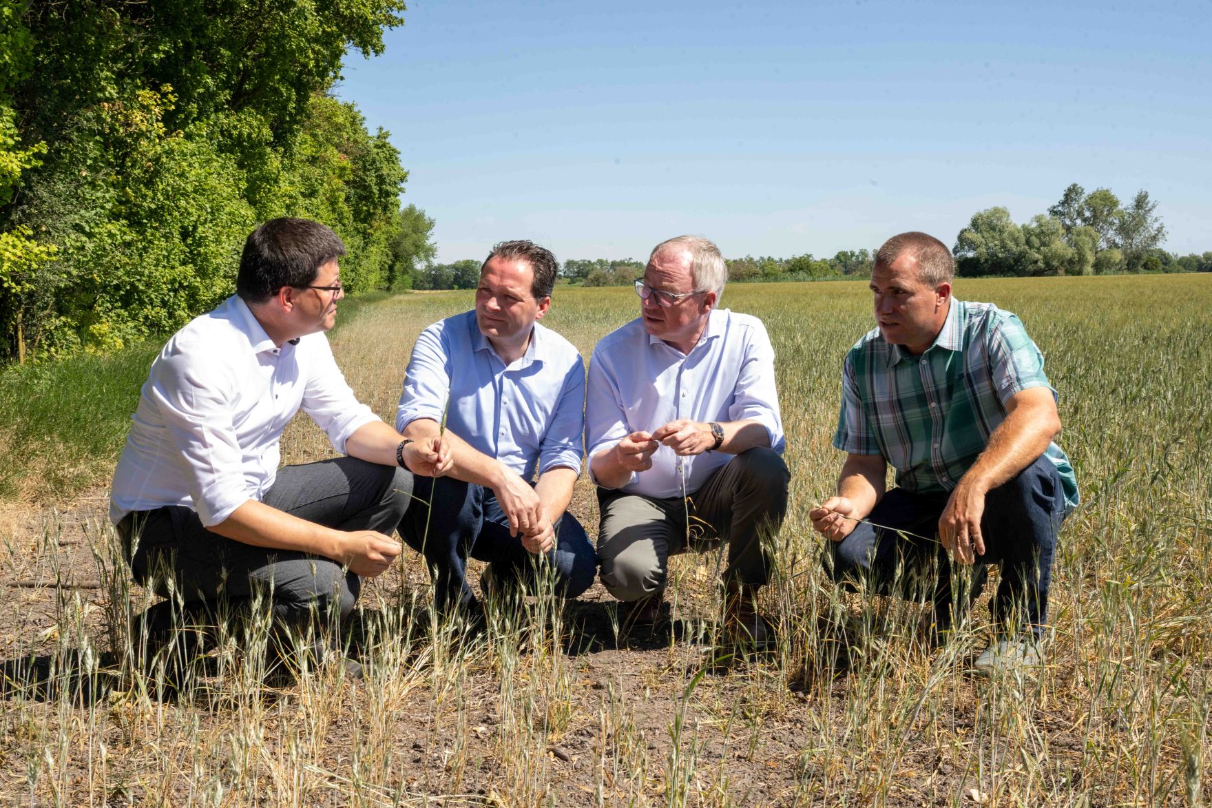 Bundesminister Norbert Totschnig, LH-Stv. Stephan Pernkopf, Landwirtschaftskammer N&Ouml;-Vizepr&auml;sident Lorenz Mayr machten sich am Betrieb von Christian Gasselich in Lassee selbst ein Bild der prek&auml;ren Lage.