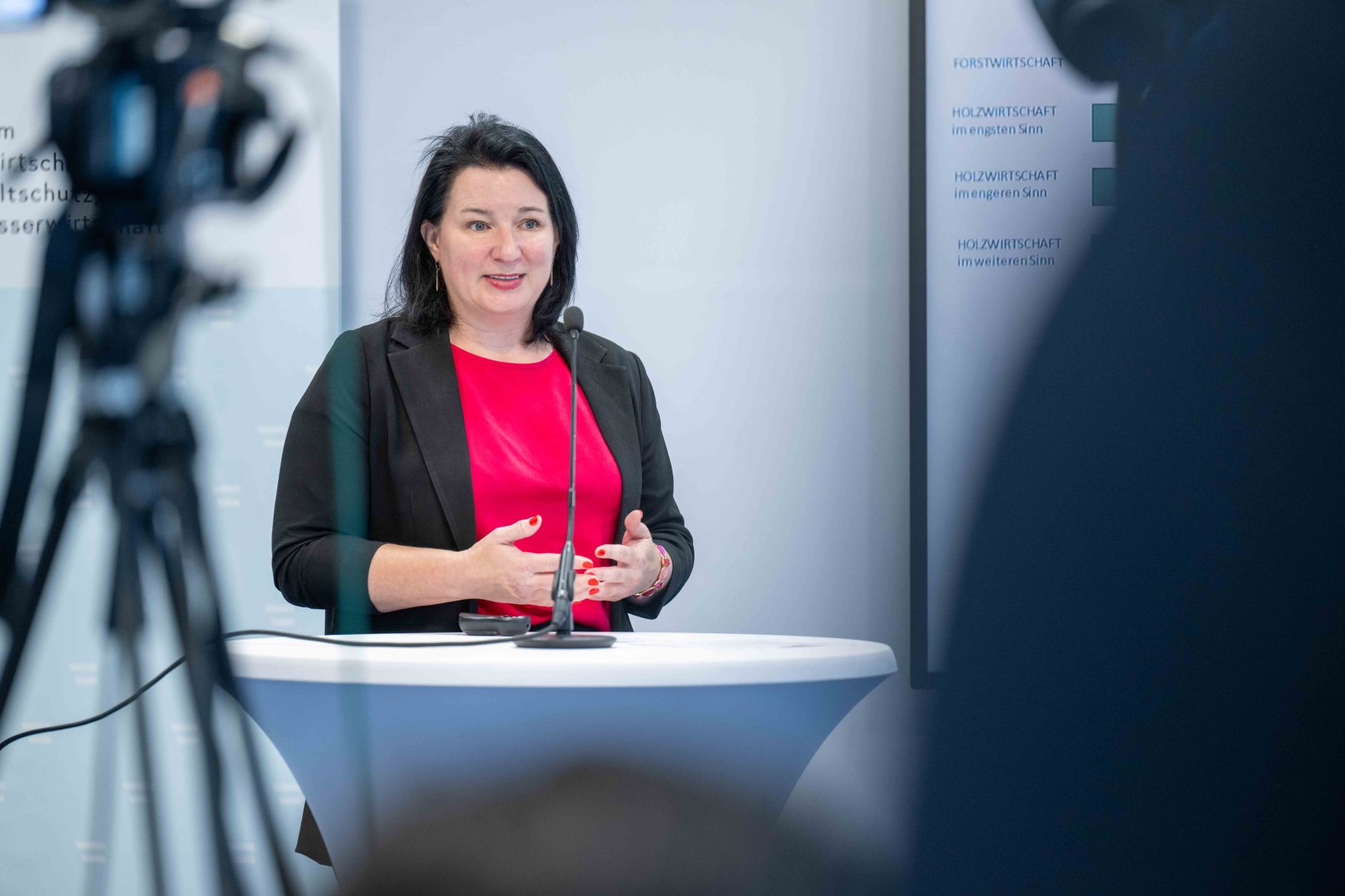 Bei der Pressekonferenz "Wirtschaftsfaktoren Wald und Holz" wurde die Studie des Forschungsinstituts Econmove pr&auml;sentiert.