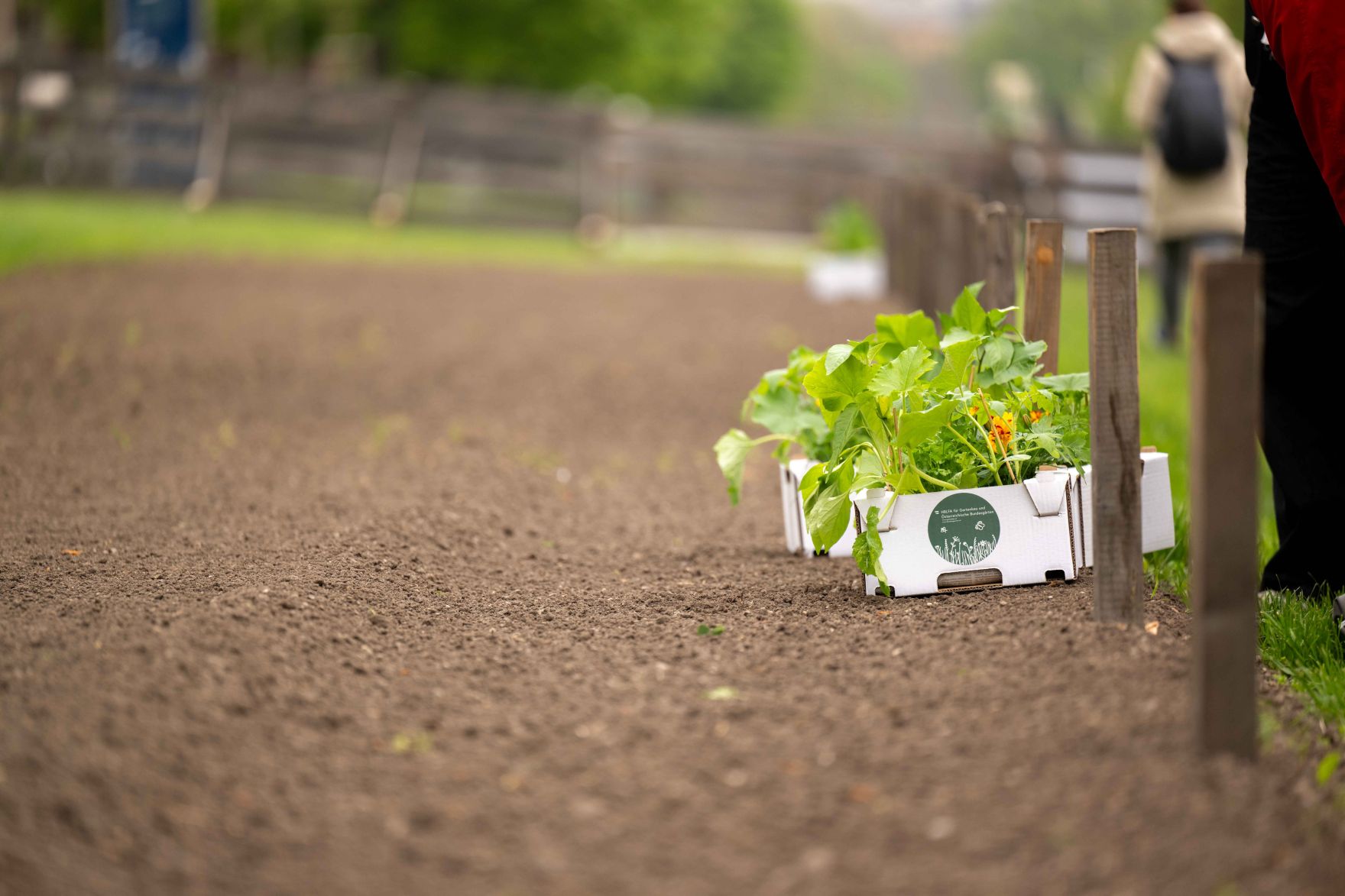 Jedes Jahr werden 120 Beete beim Wiener Augarten an Wienerinnen und Wiener verlost. Am 15. April 2026 erfolgte die Beet&uuml;bergabe an die Gewinnerinnen und Gewinner. Herr Bundesminister Norbert Totschnig nahm bei der &Uuml;bergabe teil.