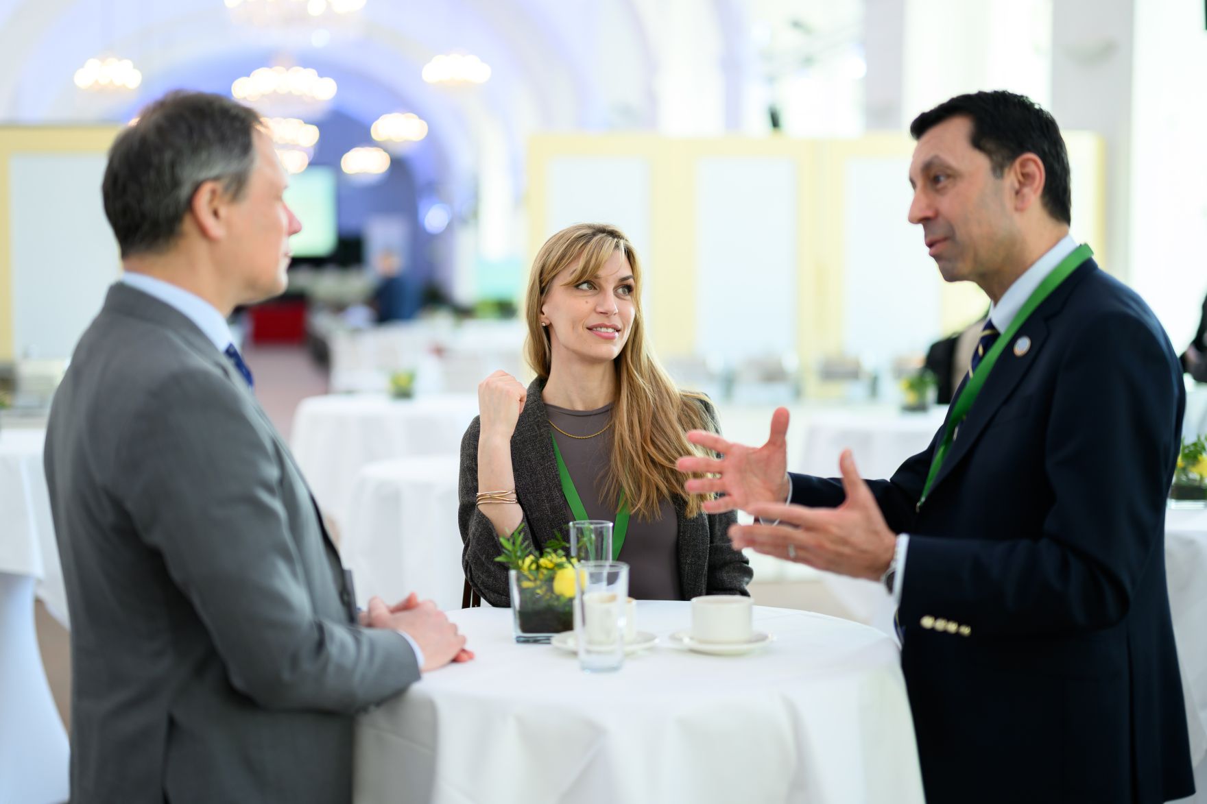 Global Summit &ldquo;Advancing Sustainable Forest-based Bioeconomy Approaches&rdquo; from February 23 to 25 2026