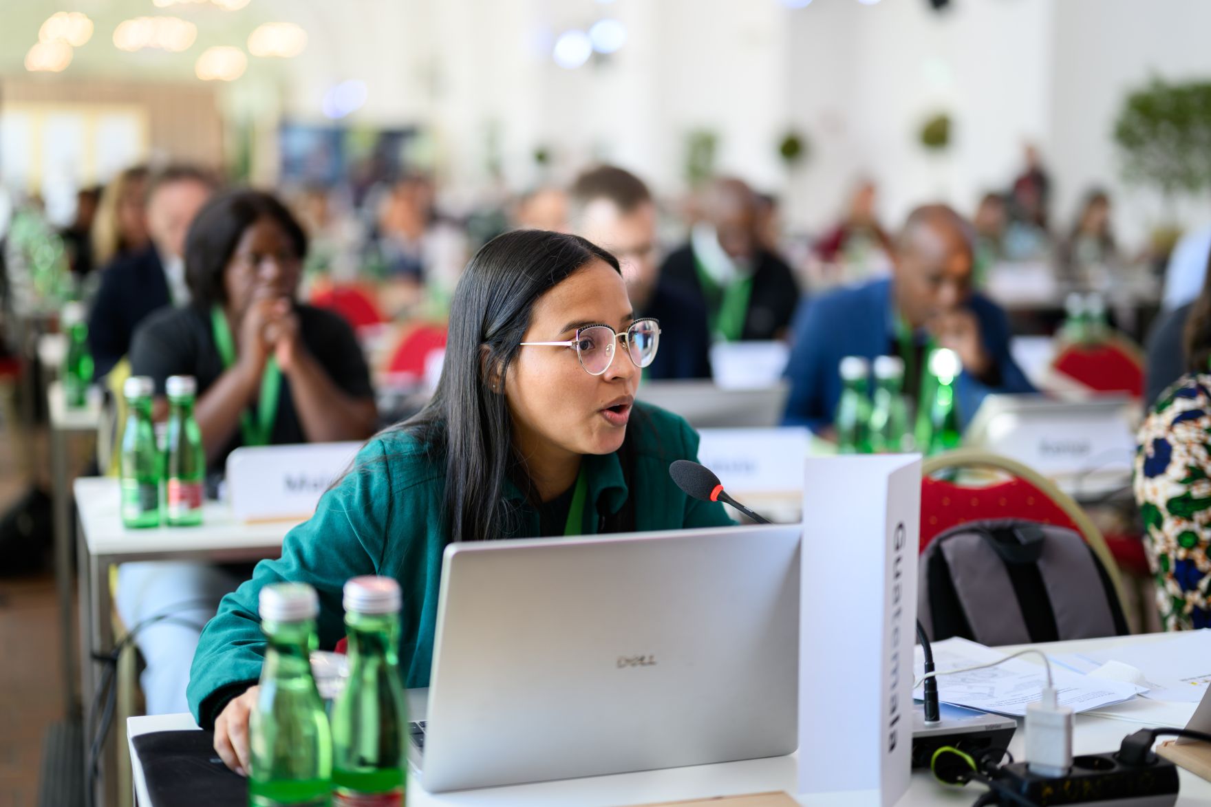 Global Summit &ldquo;Advancing Sustainable Forest-based Bioeconomy Approaches&rdquo; from February 23 to 25 2026