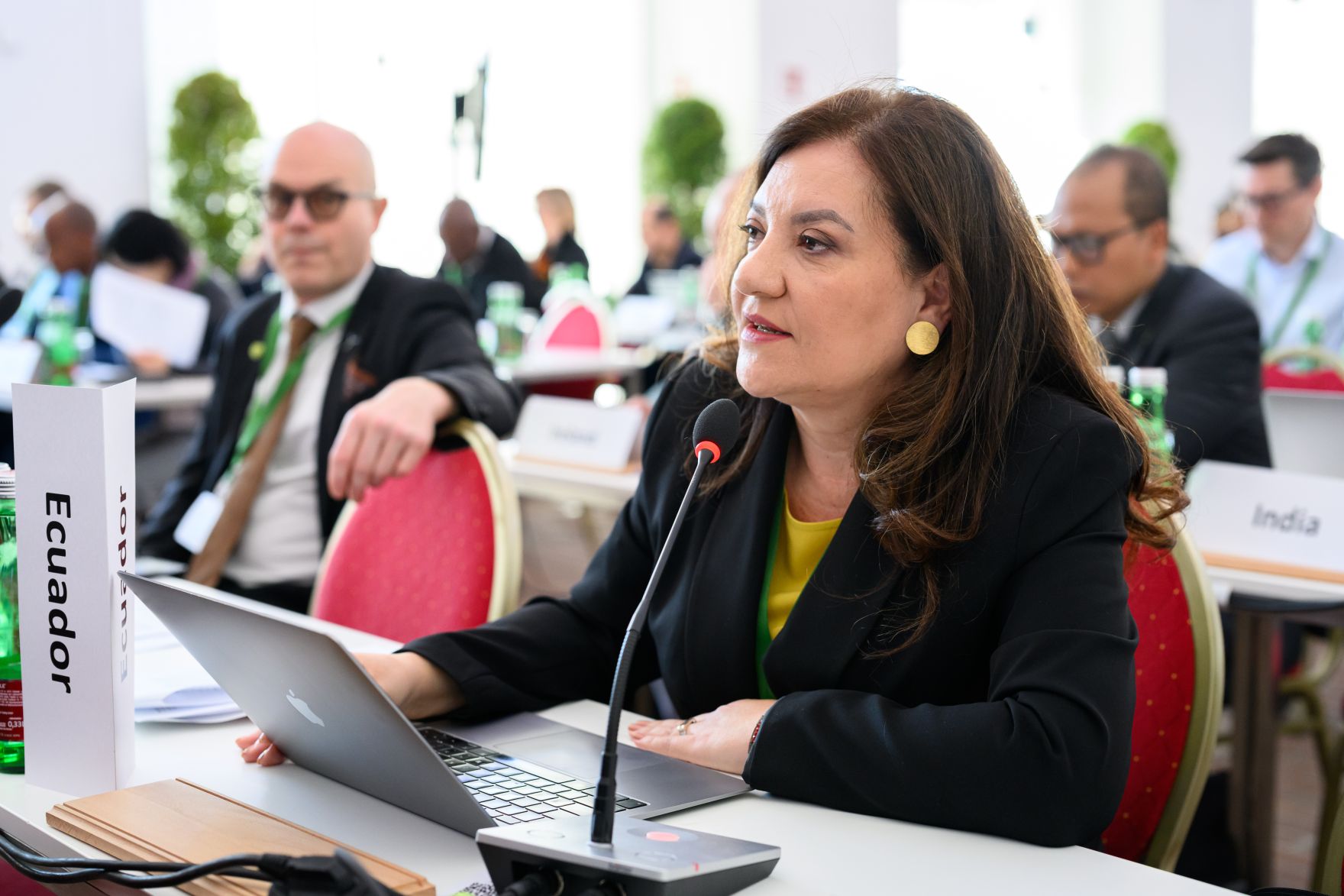 Global Summit &ldquo;Advancing Sustainable Forest-based Bioeconomy Approaches&rdquo; from February 23 to 25 2026