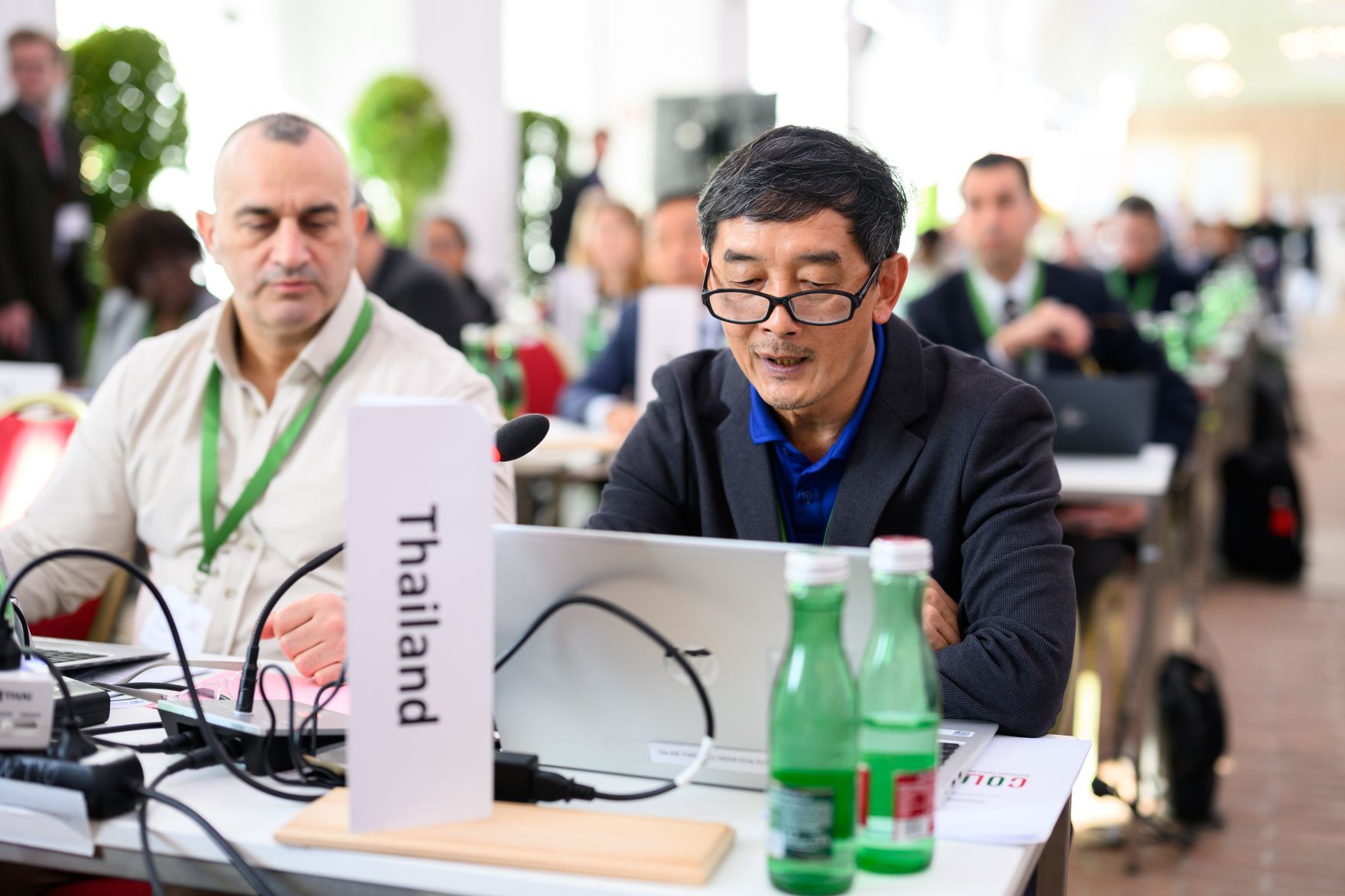 Global Summit &ldquo;Advancing Sustainable Forest-based Bioeconomy Approaches&rdquo; from February 23 to 25 2026