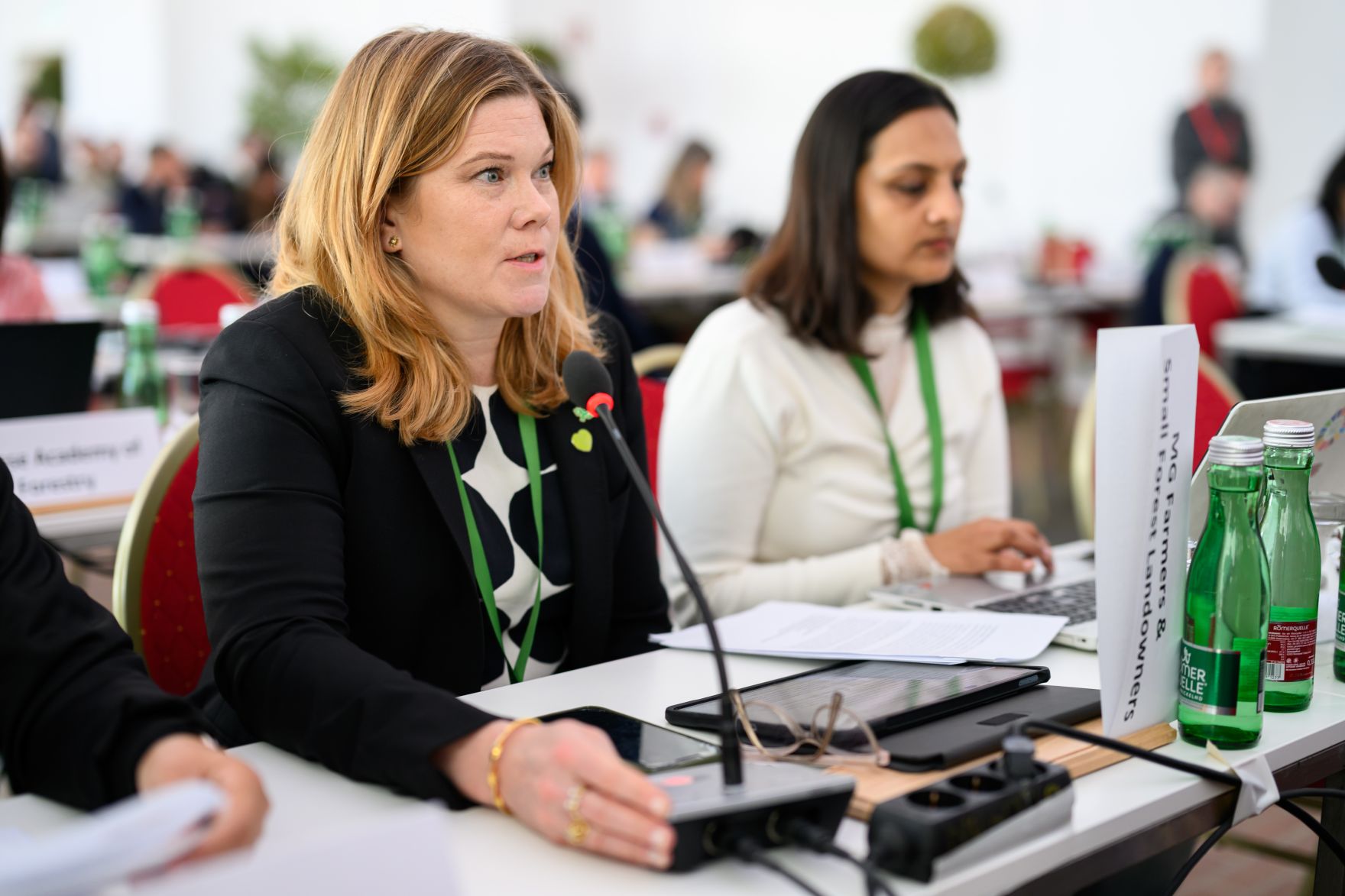 Global Summit &ldquo;Advancing Sustainable Forest-based Bioeconomy Approaches&rdquo; from February 23 to 25 2026