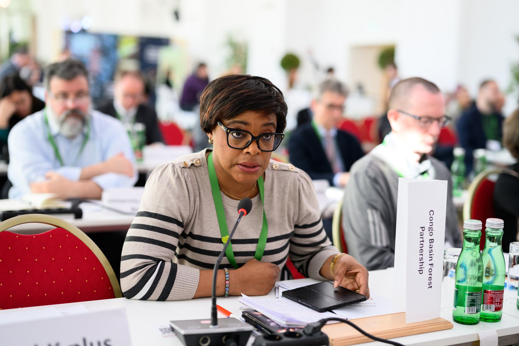 Global Summit &ldquo;Advancing Sustainable Forest-based Bioeconomy Approaches&rdquo; from February 23 to 25 2026