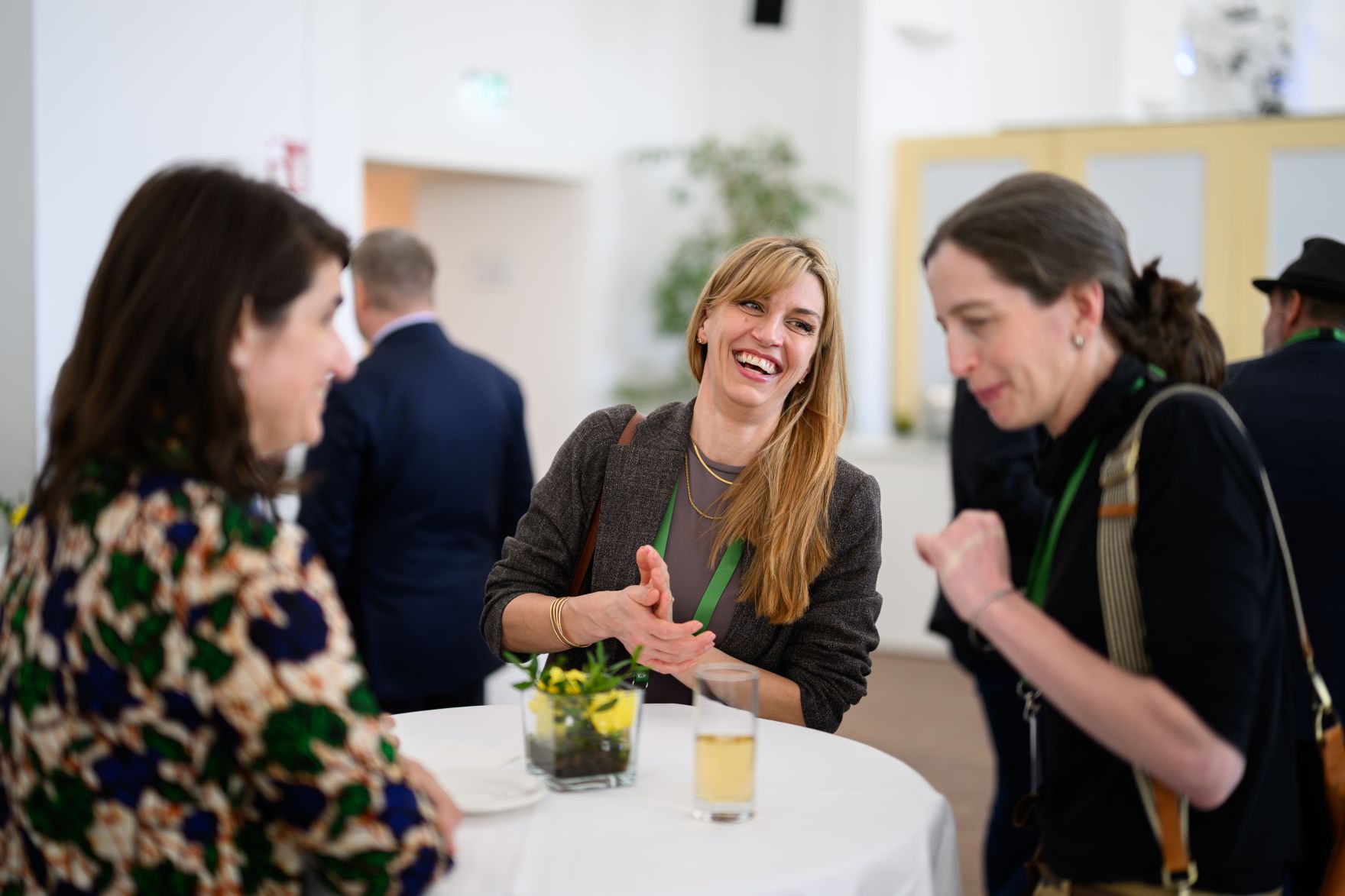 Global Summit &ldquo;Advancing Sustainable Forest-based Bioeconomy Approaches&rdquo; from February 23 to 25 2026