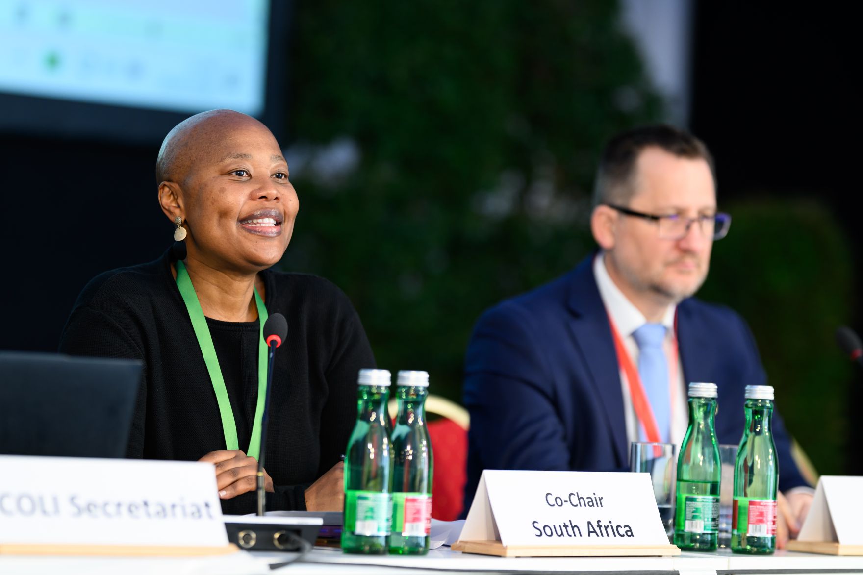 Global Summit &ldquo;Advancing Sustainable Forest-based Bioeconomy Approaches&rdquo; from February 23 to 25 2026