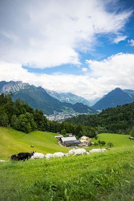Bundesminister Norbert Totschnig nahm an der Auszeichnung der Vorarlberger Hofk&auml;serei Kegele mit dem AMA GENUSS REGION G&uuml;tesiegel teil.