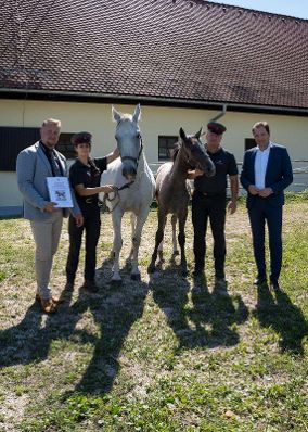 Das Lipizzanergest&uuml;t Piber ist ein Vorzeigebeispiel f&uuml;r innovative Kreislaufwirtschaft. Landwirtschaftsminister Norbert Totschnig machte sich pers&ouml;nlich ein Bild von der Bewirtschaftung und &uuml;bernahm die Ehrenpatenschaft f&uuml;r das erste Fohlen des Jahres 2022.