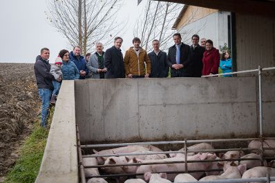 Landwirtschaftsminister Norbert Totschnig besuchte mit dem Pr&auml;sidenten der Landwirtschaftskammer Nieder&ouml;sterreich, Johannes Schmuckenschlager, Betriebe in Nieder&ouml;sterreich. Im Bild: Betriebsbesichtigung eines Schweinzuchtbetriebs