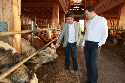 Im Rahmen eines Bundesl&auml;ndertags in Salzburg besuchte Landwirtschaftsminister Norbert Totschnig gemeinsam mit Landesrat Josef Schwaiger und dem Pr&auml;sidenten der LK Salzburg, Rupert Quehenberger, den Betrieb des Kern-Bauern in Anthering.