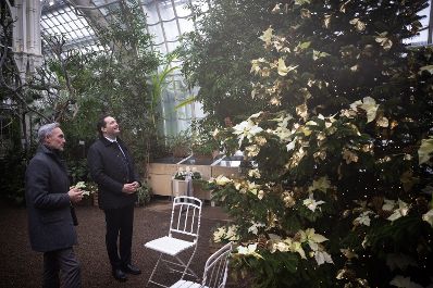Landwirtschaftsminister Norbert Totschnig besuchte mit dem Stv. Leiter der Bundesg&auml;rten, Gerd Koch, die Ausstellung &bdquo;Wei&szlig;e Weihnachten&ldquo; im Gro&szlig;en Palmenhaus im Schlosspark Sch&ouml;nbrunn.