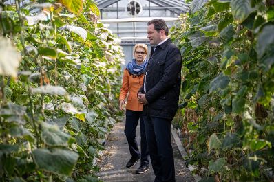.Herr Bundesminister Totschnig besuchte die G&auml;rtner Ganger in Wien und machte sich einen Eindruck des Familienunternehmens in Wi