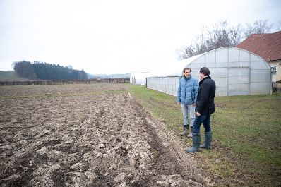 Bundesminister Totschnig besuchte den Zinsenhof, eine Au&szlig;enstelle der HBLA Sch&ouml;nbrunn. Dort informierten der Leiter der HBLA Sch&ouml;nbrunn, Gerd Koch, und Wolfgang Palme &uuml;ber Gem&uuml;se, welches auch im Winter geerntet werden kann.
