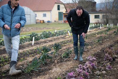 Bundesminister Totschnig besuchte den Zinsenhof, eine Au&szlig;enstelle der HBLA Sch&ouml;nbrunn. Dort informierten der Leiter der HBLA Sch&ouml;nbrunn, Gerd Koch, und Wolfgang Palme &uuml;ber Gem&uuml;se, welches auch im Winter geerntet werden kann.