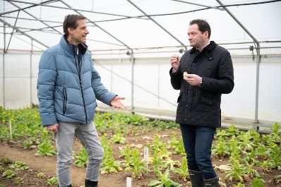Bundesminister Totschnig besuchte den Zinsenhof, eine Au&szlig;enstelle der HBLA Sch&ouml;nbrunn. Dort informierten der Leiter der HBLA Sch&ouml;nbrunn, Gerd Koch, und Wolfgang Palme &uuml;ber Gem&uuml;se, welches auch im Winter geerntet werden kann.